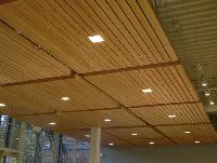 Ceiling Panels