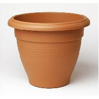 Terracotta Pot