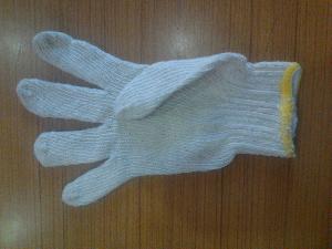 Cotton Hand Gloves