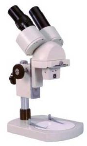 Stereo Microscopes