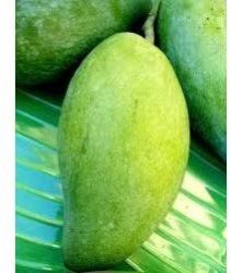 Langra Mango