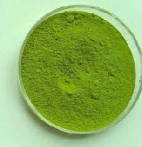 Spray Dried Spinach Powder