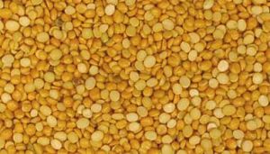 Gram Lentils