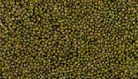 Whole Green Moong Lentils