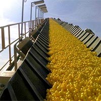Sulphur Sulphur