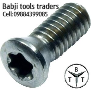 Torx Screw