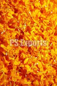 Marigold Petals