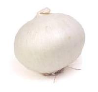 Fresh White Onion