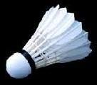 badminton equipments