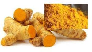 Curcuma Longa Extract