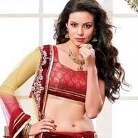 Designer Sarees