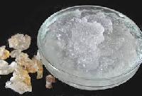 Tragacanth Gum