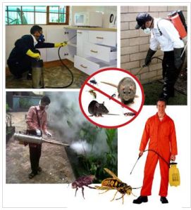 Pest Control Services