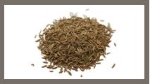 Cumin Seed