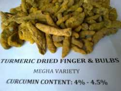 Turmeric Finger