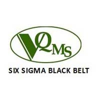 Six Sigma Black Belt Training