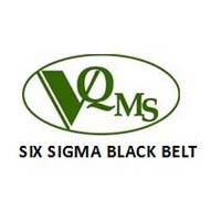 Six Sigma Black Belt