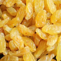 Golden Raisins