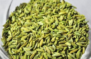 Fennel Seeds