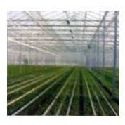 Polycarbonate Greenhouse Sheets