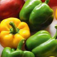 Capsicum Micronutrients