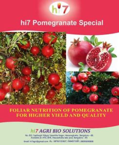 Pomegranate Micronutrients