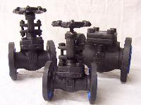 Forged Valves