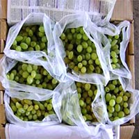 Fresh Green Grapes