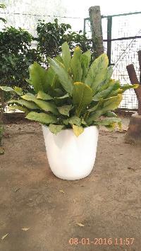 WA0032 Stone Planter