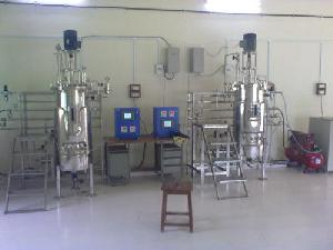 Pilot Scale Fermenters Bioreactors