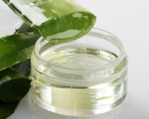 Aloe Vera Lip Care