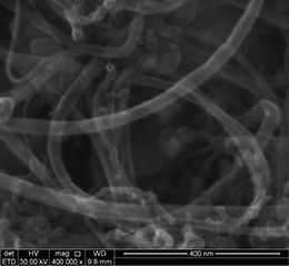 Multiwall Carbon Nanotubes