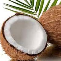 Coconut