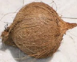 Fully Husked Coconut