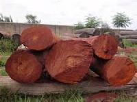 Red sandalwood