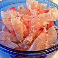 Fresh Shrimp Shells