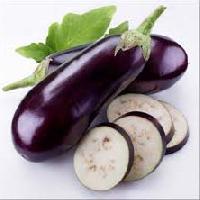 Fresh Brinjal