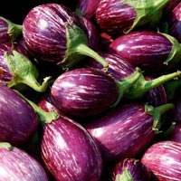 Fresh Brinjal