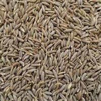 Cumin Seeds