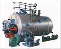 Oil Cum Gas Steam Boiler