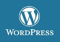 wordpress theme development services