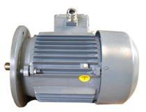 Import Substitute Motors