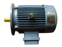 Synchronous Motor