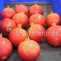 Fresh Ruby Pomegranates
