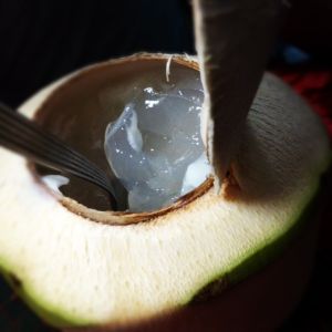 Coconut Jelly