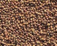 desi kala chana