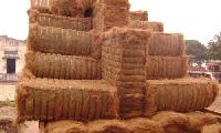 Coir Fibre