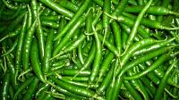 Fresh Green Chilli