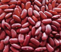 red speckled kidney beans