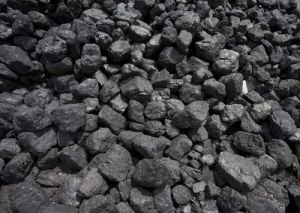 Coal